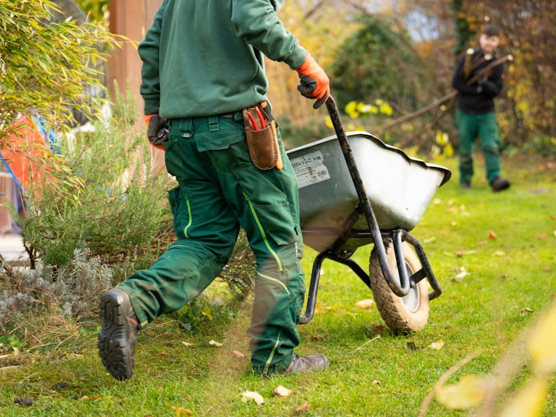 Yard & landscaping
